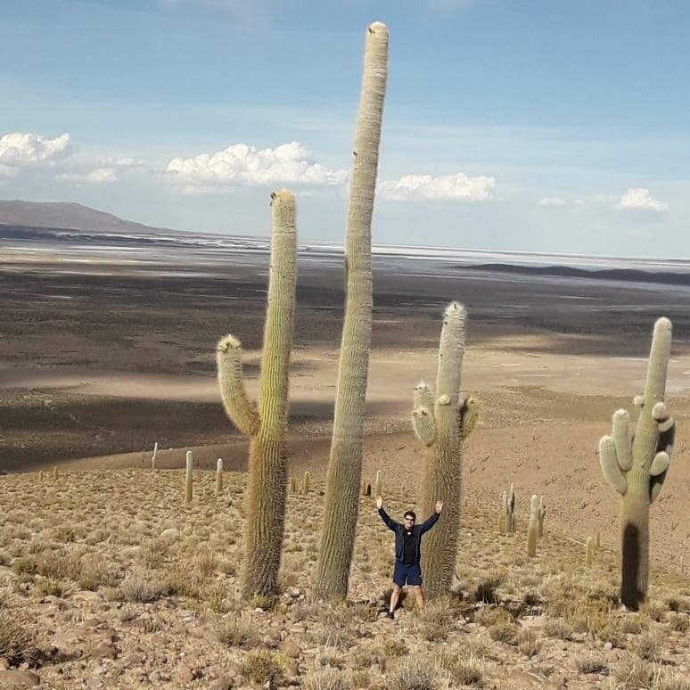 hombre posando frente a cactuos gigantes en la region de tarapaca
